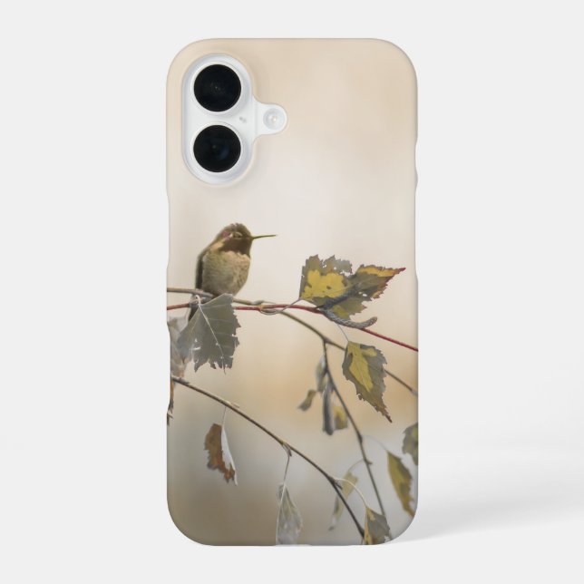 Funda Para iPhone 16 Colibrí 5265 (Reverso )