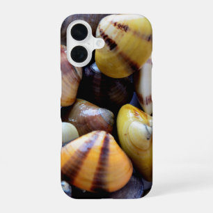 Funda Para iPhone 16 Conchas de Clam Coloridas Pequeñas