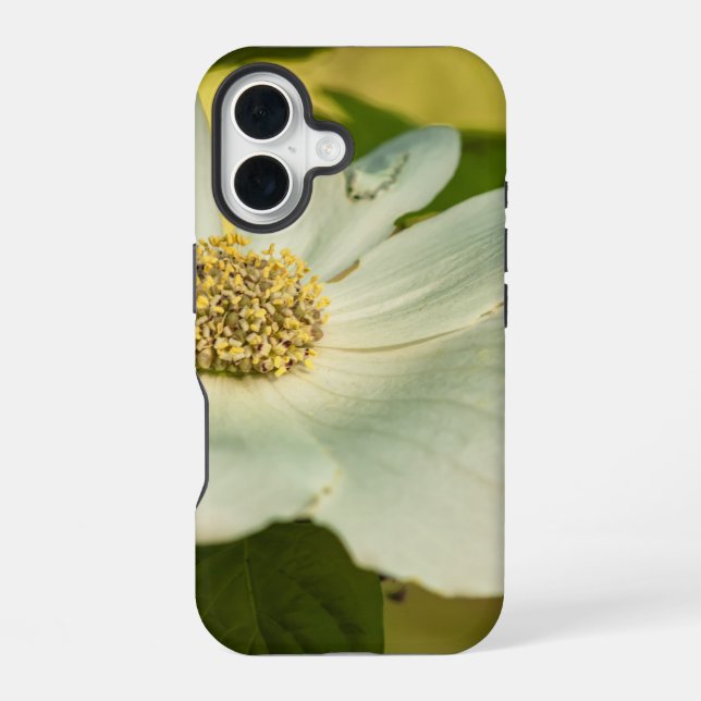 Funda Para iPhone 16 Cornejo (Reverso )