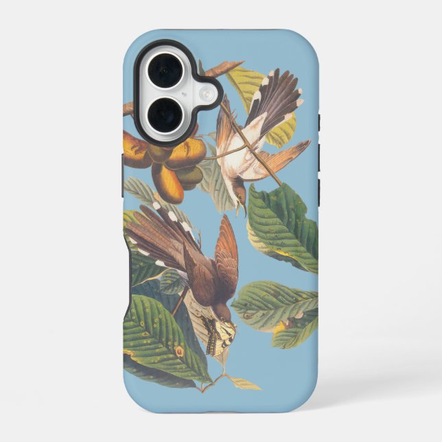 Funda Para iPhone 16 Cucú de pico amarillo de Audubon (Reverso )