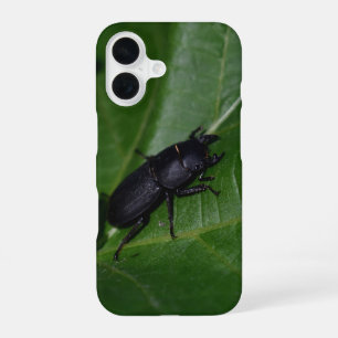 Funda Para iPhone 16 Dorcus parallelipipedus , el escarabajo de menor t