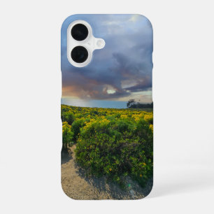 Funda Para iPhone 16 Dramáticos cielos al atardecer en Point Dume