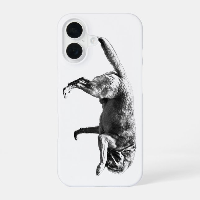 Funda Para iPhone 16 Encanto fotográfico (Reverso )