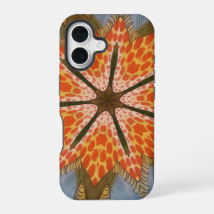 Funda Para iPhone 16 Estrella de la Sabana en Flor – Una Audaz Estampa