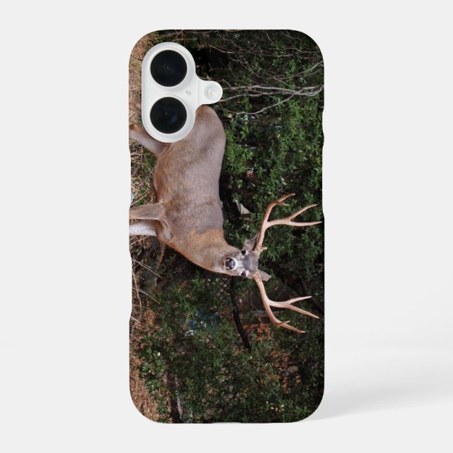 Funda Para iPhone 16 Estuche Buck Phone (Reverso )