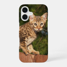 Estuche para teléfono de Savannah Cat