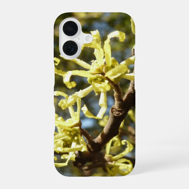 Funda Para iPhone 16 Flores de Hamamelis (Reverso )