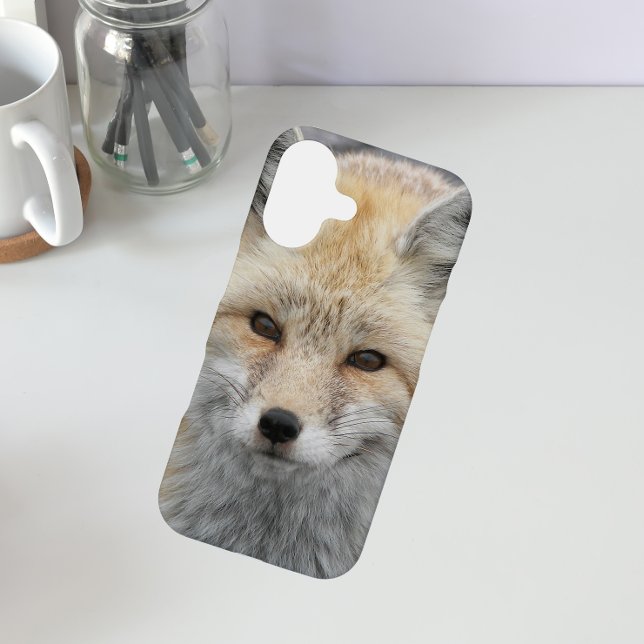 Funda Para iPhone 16 Foto de vida salvaje Cute Red Fox (In Situ)