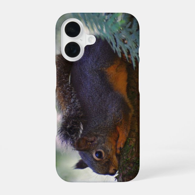 Funda Para iPhone 16 Foto de vida silvestre de pequeños Douglas (Reverso )