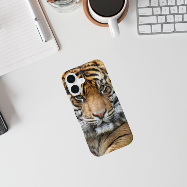 Funda Para iPhone 16 Foto de vida silvestre del Tigre de Sumatra (In Situ)