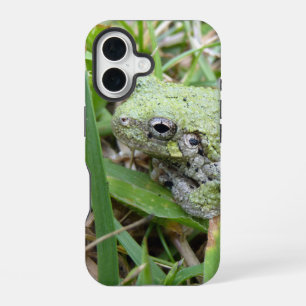 Funda Para iPhone 16 Fotografía de Naturaleza de la Rana Arbolícola Gri