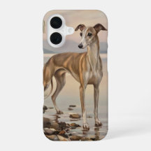 Galgo italiano