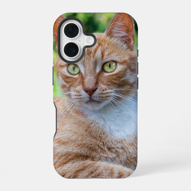 Funda Para iPhone 16 Gatito dulce (Reverso )