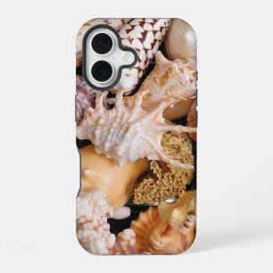 Funda Para iPhone 16 Hermosa, colorida, conchas marinas, tema de la pla
