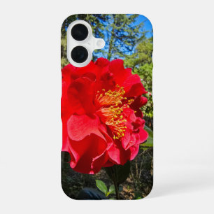 Funda Para iPhone 16 hermosas flores rojas de Camellia en los jardines