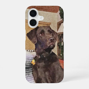 Funda Para iPhone 16 Labrador Chocolate