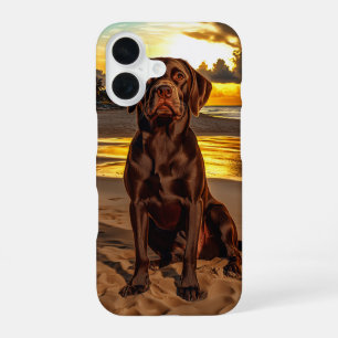 Funda Para iPhone 16 Labrador Chocolate al Atardecer