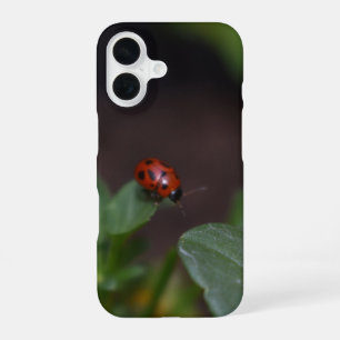 Funda Para iPhone 16 Ladybug en Flores