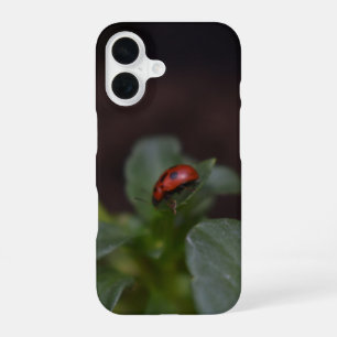 Funda Para iPhone 16 Ladybug en Flores