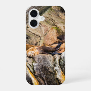 Funda Para iPhone 16 Leones marinos acostados en las rocas