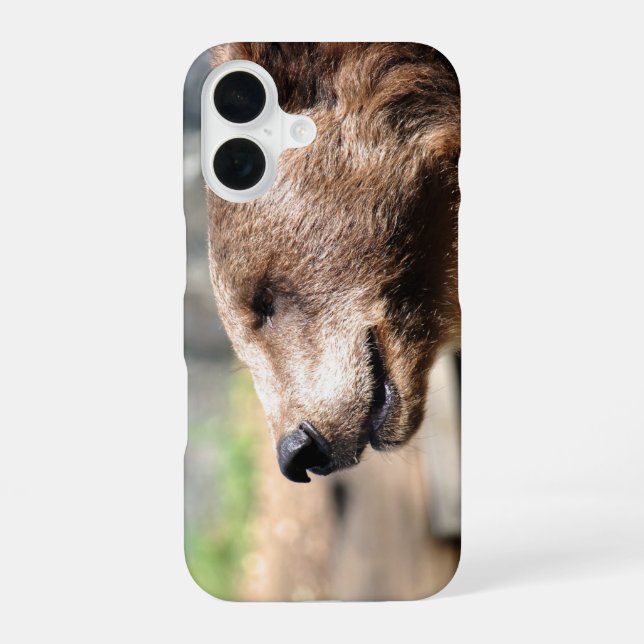 Funda Para iPhone 16 Maestro Bruin... (Reverso )