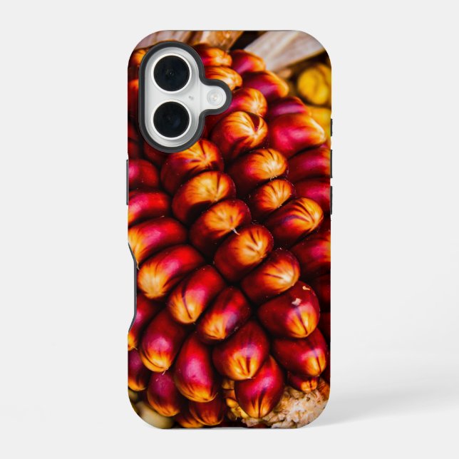 Funda Para iPhone 16 Mazos de maíz (Reverso )
