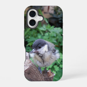 Funda Para iPhone 16 Mi pájaro Tidi el Parus Major