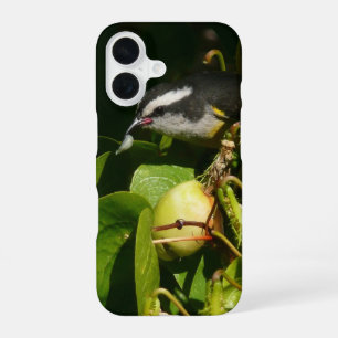 Funda Para iPhone 16 Mielero Comiendo Fotografía Tropical