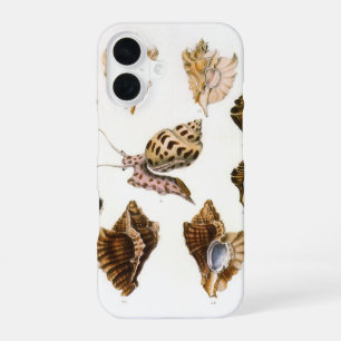 Funda Para iPhone 16 Moluscos y caracoles vintage, organismos marinos