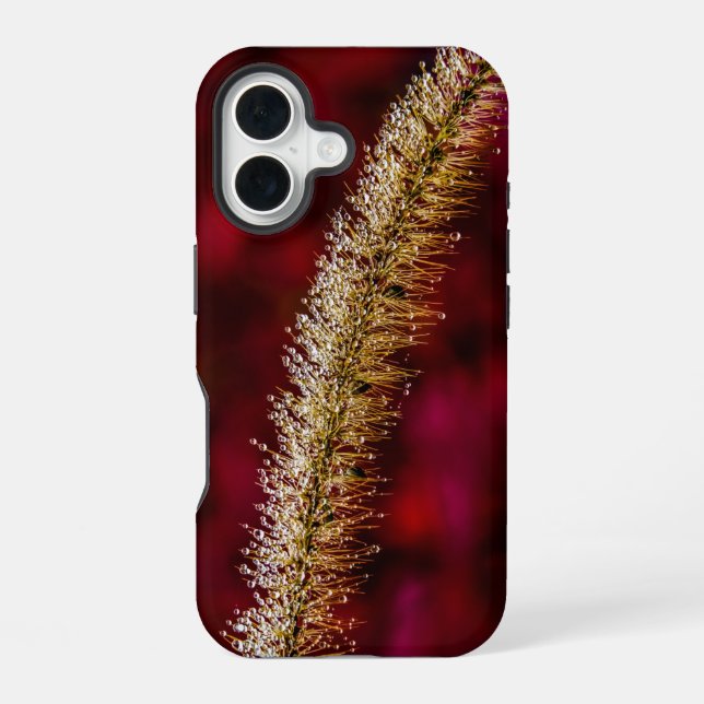 Funda Para iPhone 16 Morning Dew (Reverso )