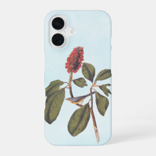 Funda Para iPhone 16 Mosquero de Bonaparte Reinita del Canadá Pájaro de