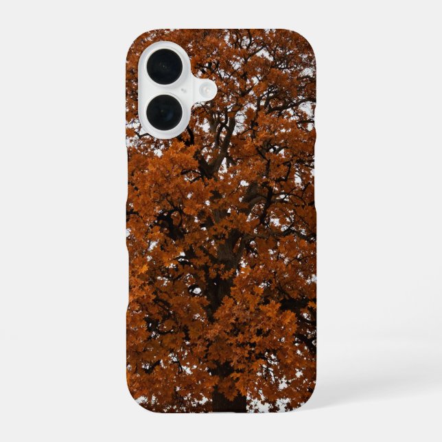 Funda Para iPhone 16 Orange Oak Tree Autumn Phone Case (Reverso )