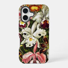 Funda Para iPhone 16 Orquídeas Orchideae Denusblumen Ernst Haeckel