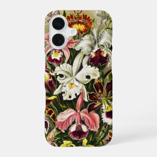 Funda Para iPhone 16 Orquídeas, Orchideae Denusblumen Ernst Haeckel 