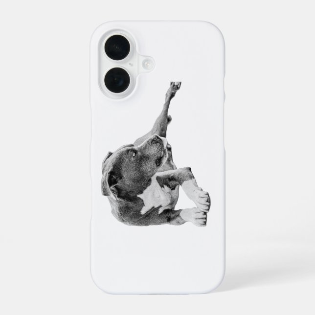 Funda Para iPhone 16 Otoño Gaze (Reverso )