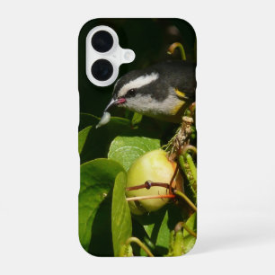 Funda Para iPhone 16 Pájaro Mielero Comiendo Fotografía Tropical
