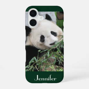 Funda Para iPhone 16 Panda gigante suave fondo verde oscuro, nombre,