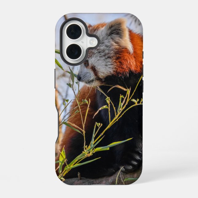 Funda Para iPhone 16 Panda rojo (Reverso )