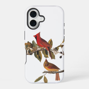 Funda Para iPhone 16 Pareja de cardenales auduónicos en un árbol de alm