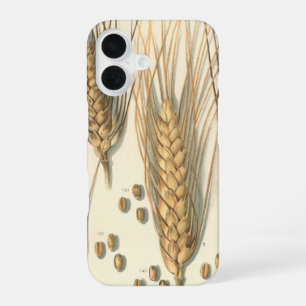 Funda Para iPhone 16 Planta de trigo resistente a la sequía, agricultur