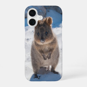 Funda Para iPhone 16 Quokka Animal Feliz en la Playa Australia