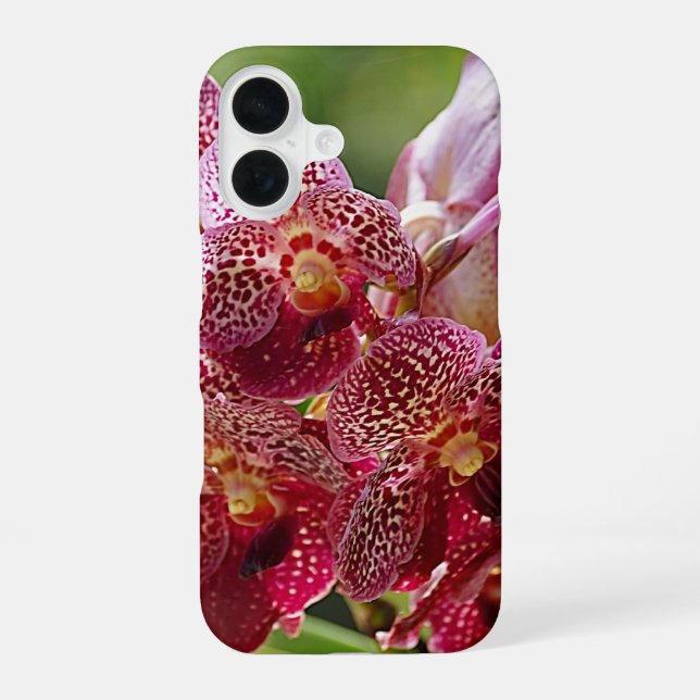 Funda Para iPhone 16 Ramo de Orquídea Vanda Tropical (Reverso )