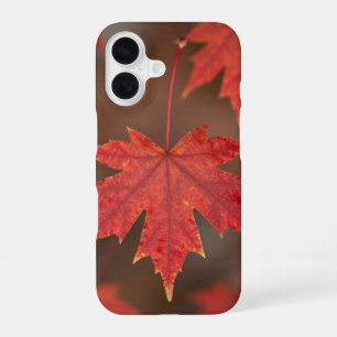 Funda Para iPhone 16 Red Maple Leaves Fall Phone Case