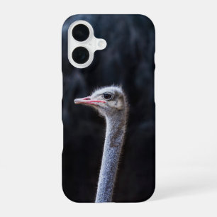 Funda Para iPhone 16 retrato de avestruz