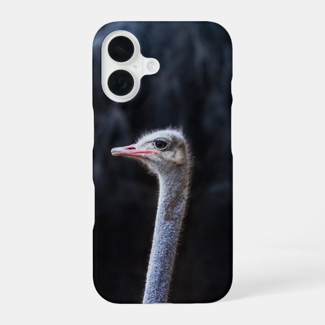 Funda Para iPhone 16 retrato de avestruz     (Reverso )