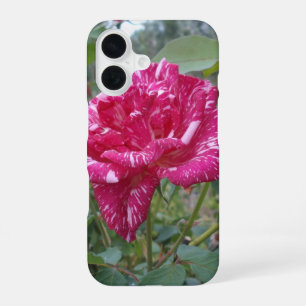 Funda Para iPhone 16 Rosa elegante a rayas rosadas y blancas,