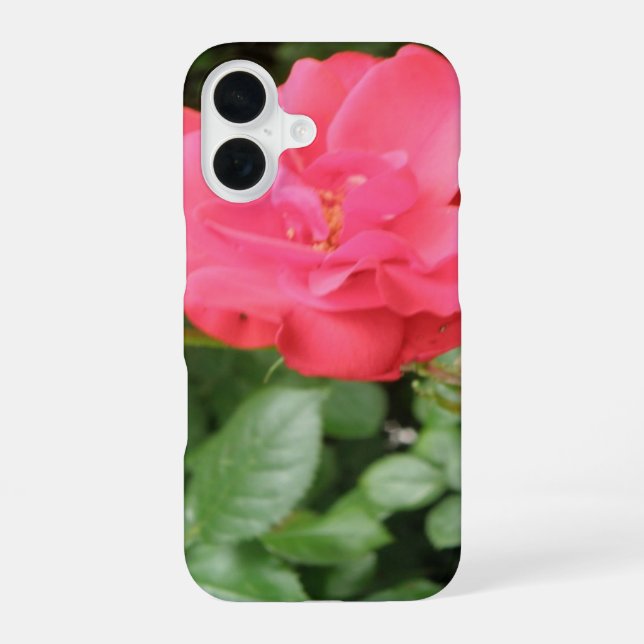 Funda Para iPhone 16 Rosa silvestre (Reverso )