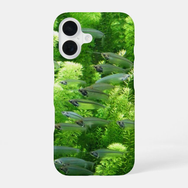 Funda Para iPhone 16 Shoal of Transparent Silver Fish (Reverso )