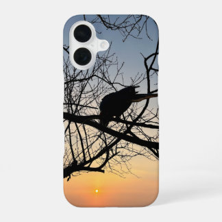 Funda Para iPhone 16 Silueta de puesta de sol dorada: pájaro en ramas d