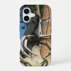 Funda Para iPhone 16 Sr Crustáceo alias Cabeza de Langosta ... Infierno